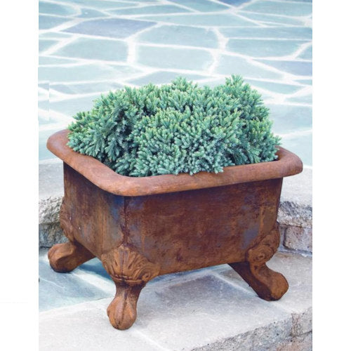 Basin Cement Planter with Feet - Image 2
