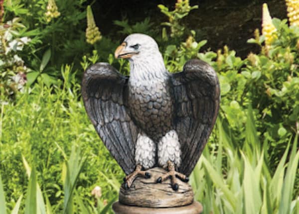 Eagle Facing Right Garden Statue Large Scale 24" High - Image 3